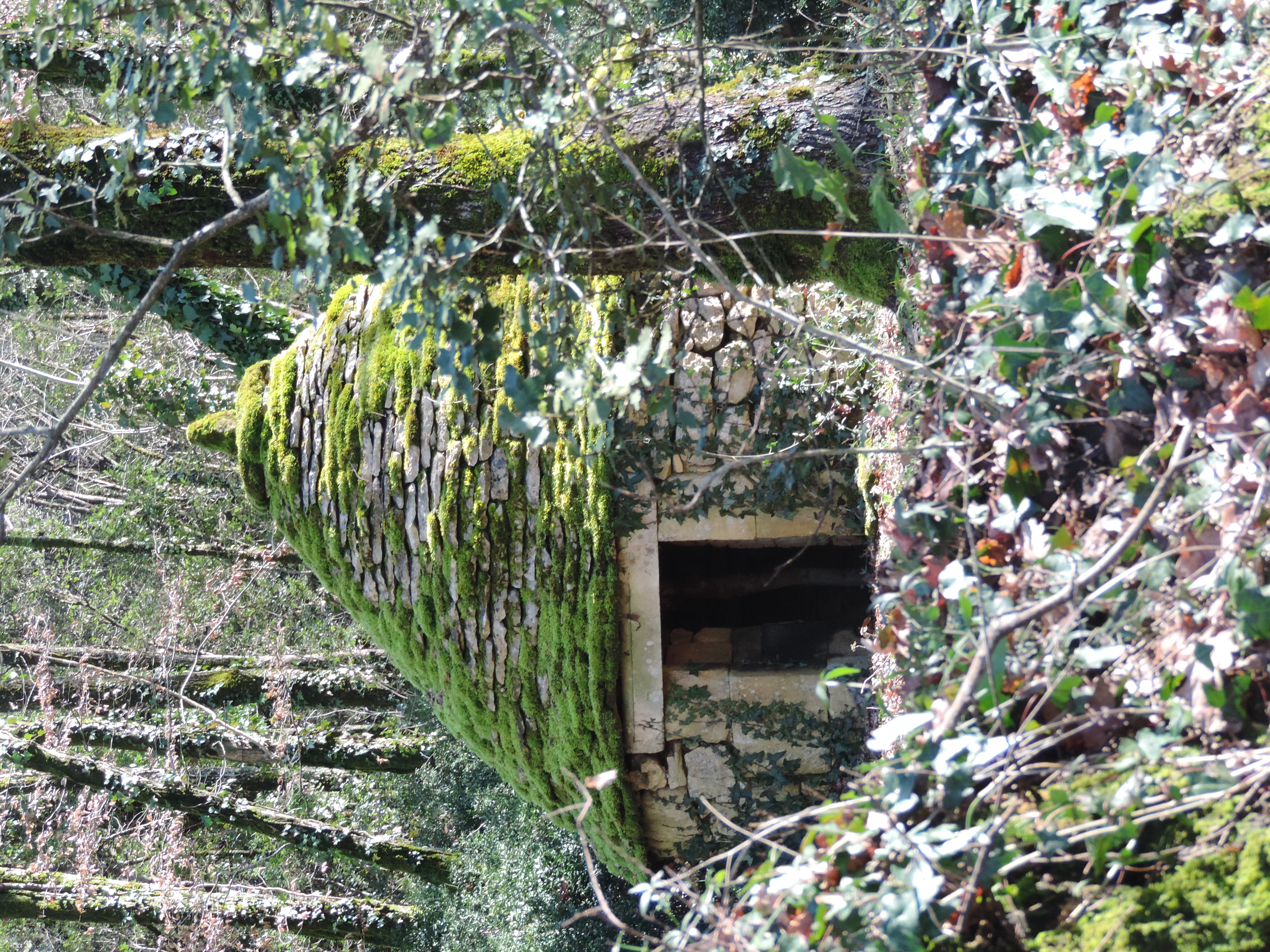 Boucle des Pechs Calviac en Périgord
