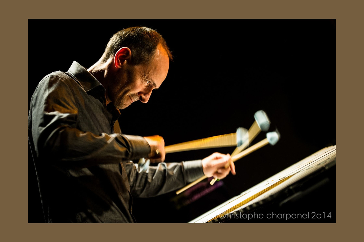 Jazz Off' | David PATROIS - Average Standards