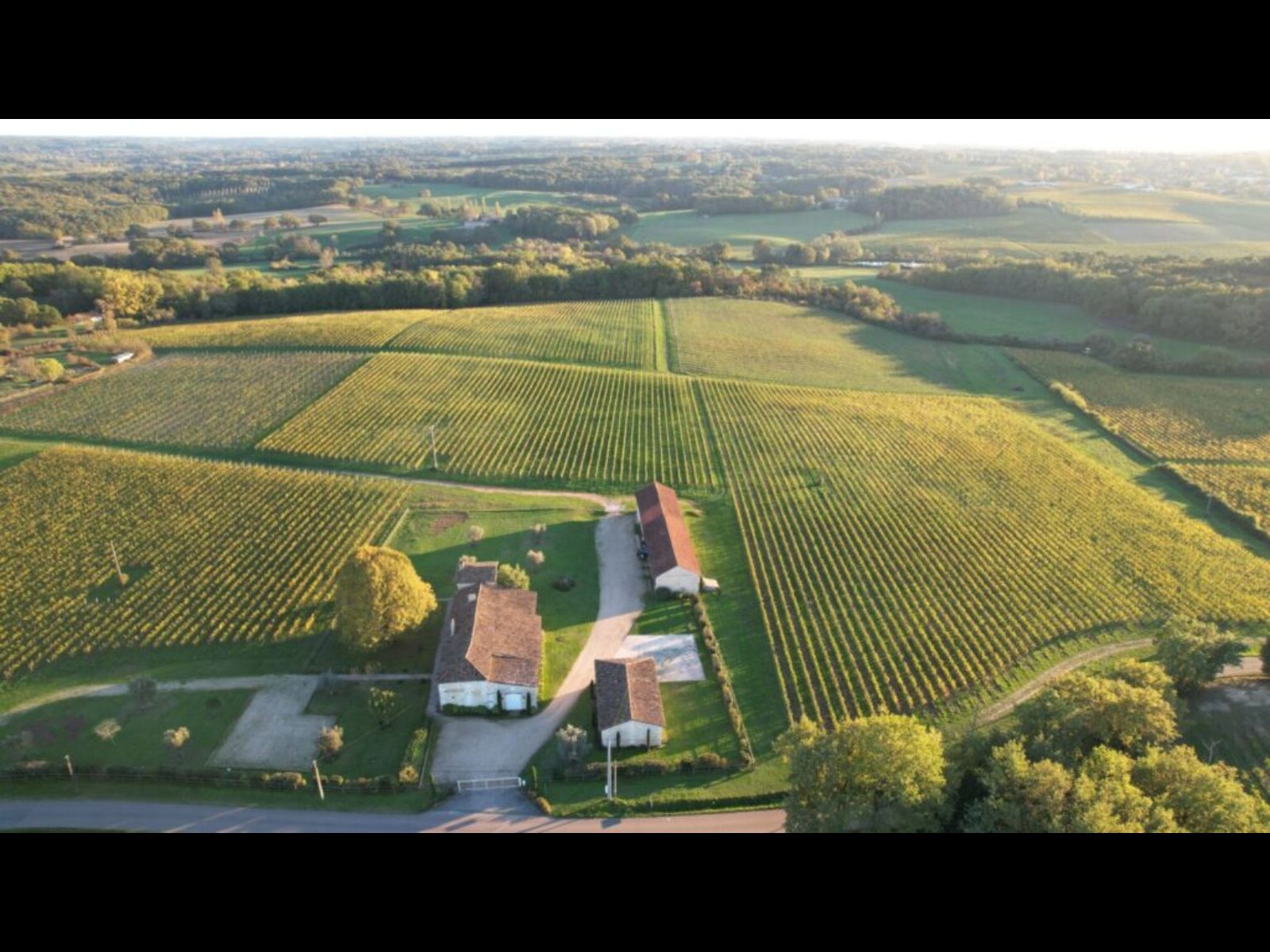 Château Lafite Monteil