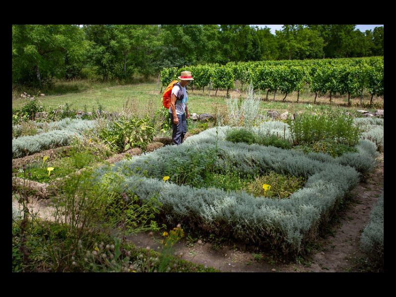 Gironde Tourisme : David Remazeilles