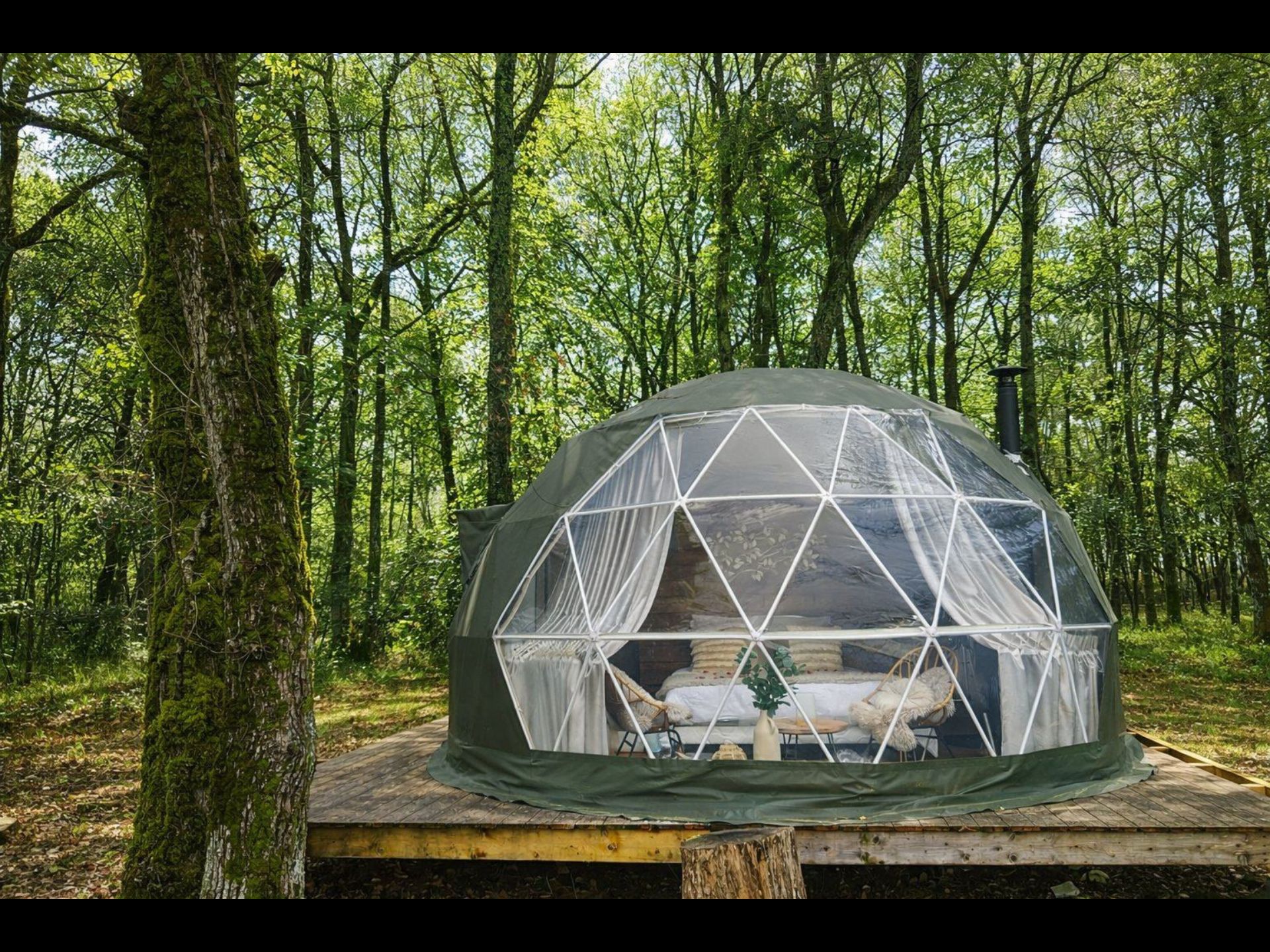 Domaine du Bédat - Dôme Le Sémillon