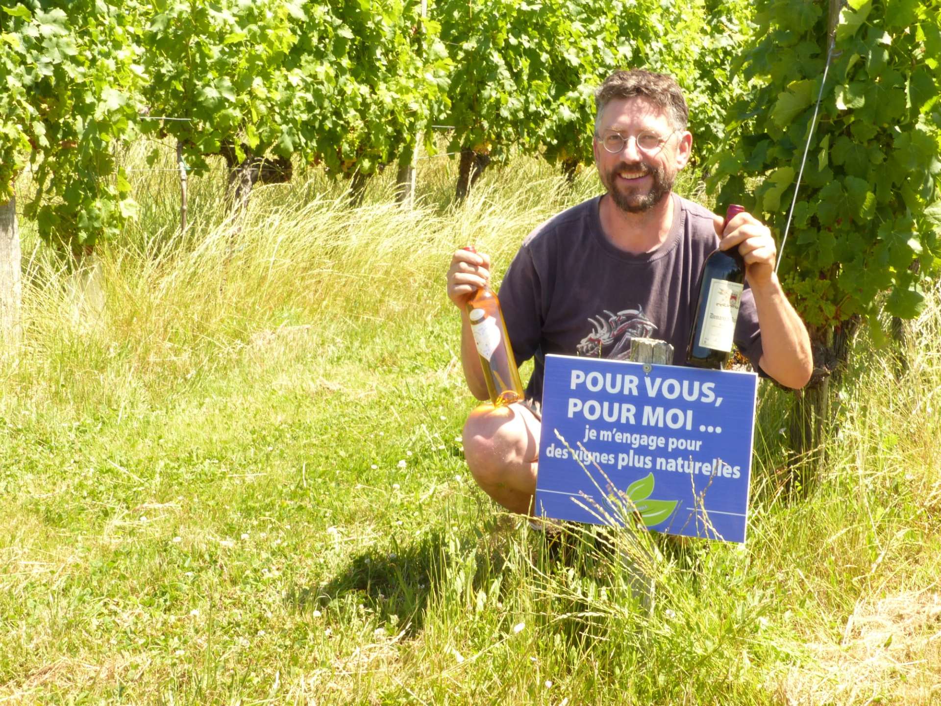 Domaine de Darbalot – Vignobles Moncla