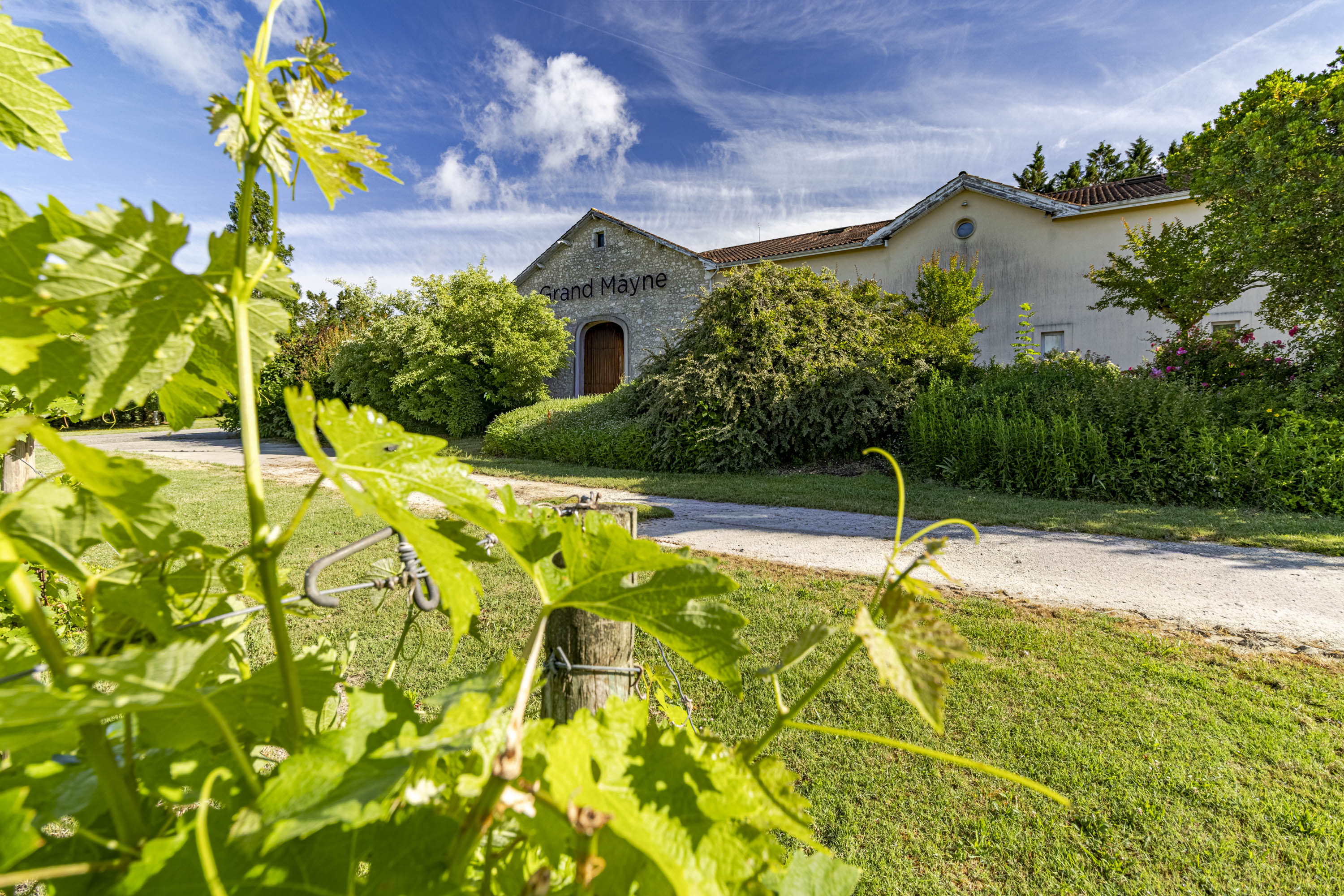 Ici, nos savoir-faire - Visite Domaine du Grand Mayne