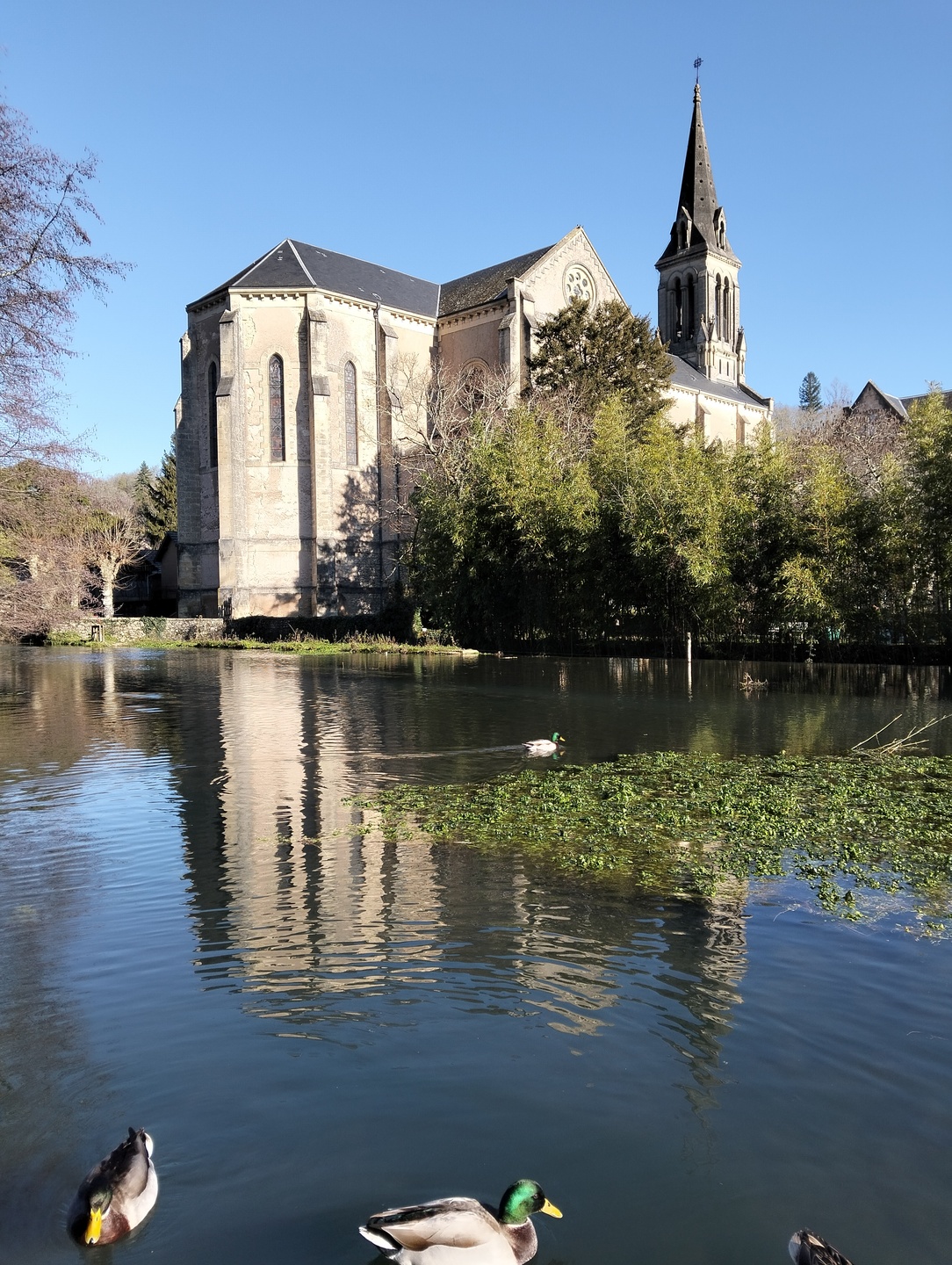 Boucle VTT Le Bugue-St Cirq (N°2)