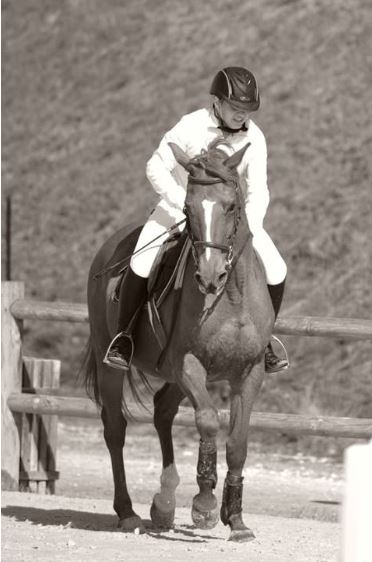 Eté Actif : Equitation