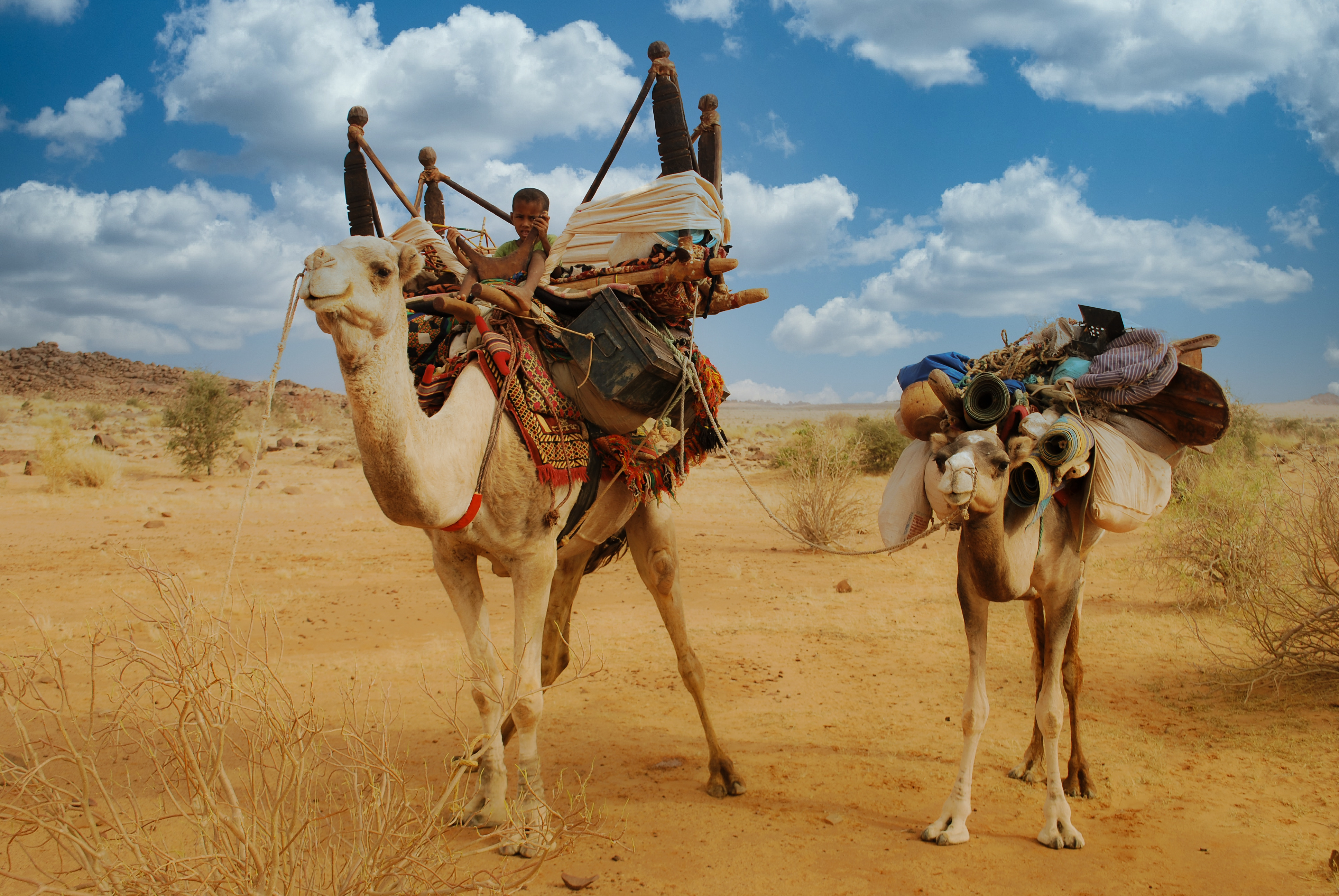Exposition photo "Afrique Insolite"