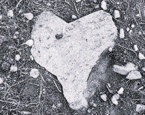 Exposition photographique « Les chemins du sil ...
