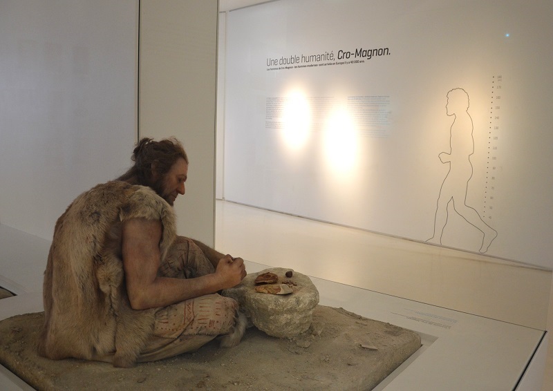 Projection - Rencontre "Primitif"