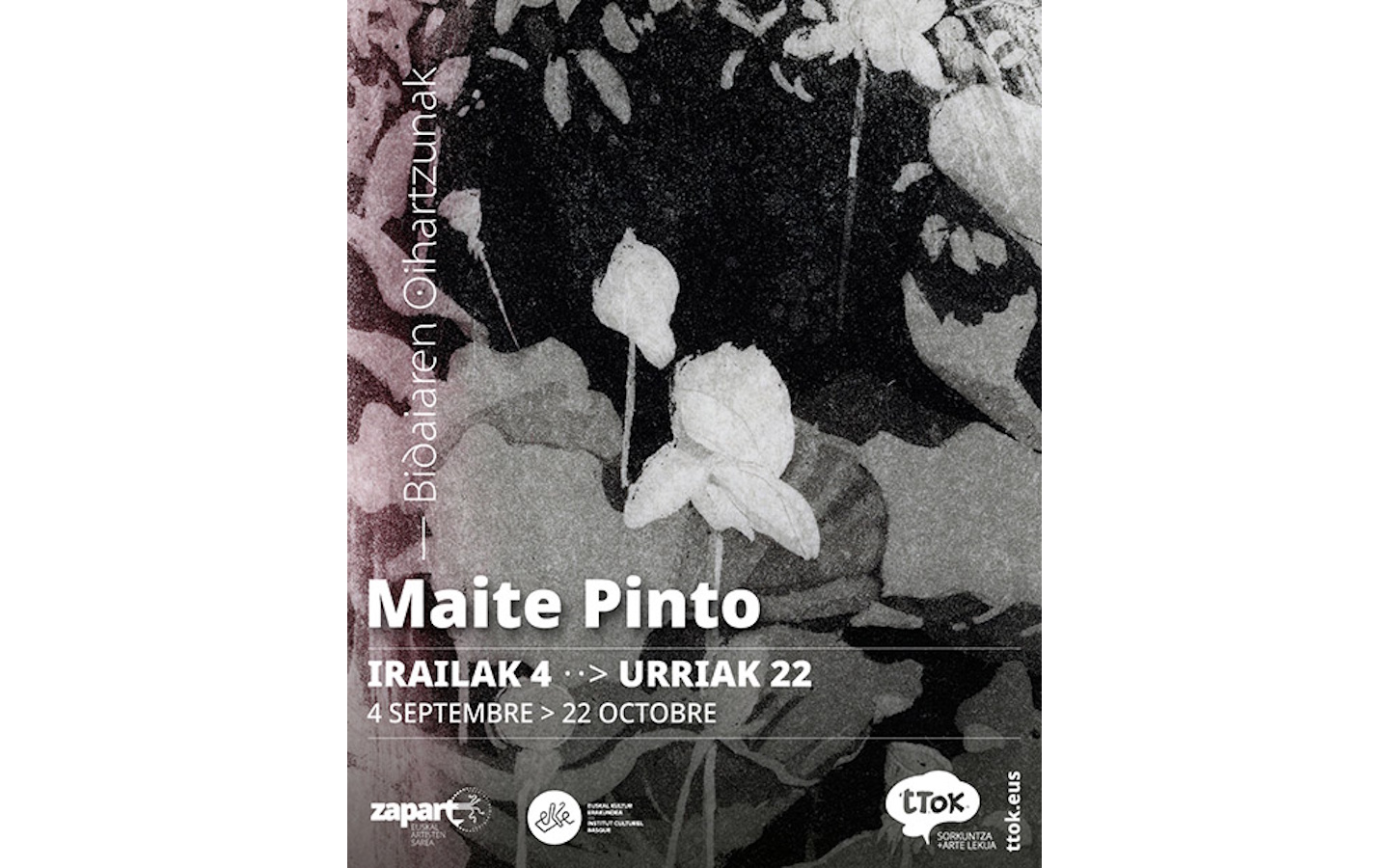 Exposition de Maïté PINTO "Bidaiaren oihartzun ...