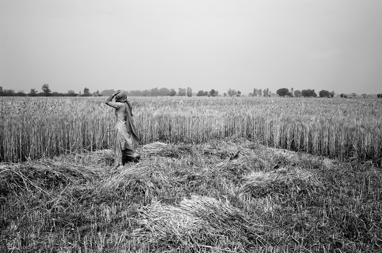 Expositions photo par Thierry Ardouin et collection d'Isabelle Darrigrand