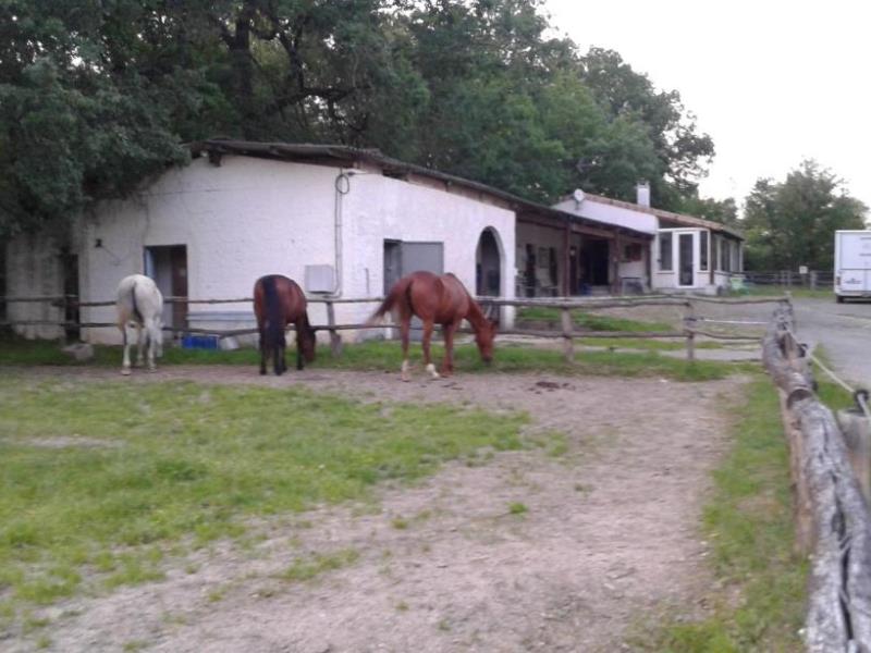 Gîte de la Ferme équestre des Abrons