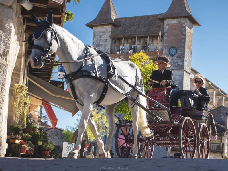 Fête du cheval de Villeréal
