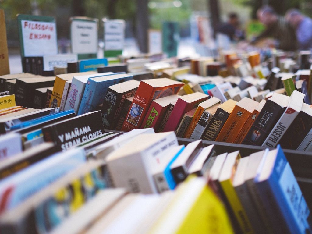 Asso'lidaires : vente de livres et CDs d'occasion
