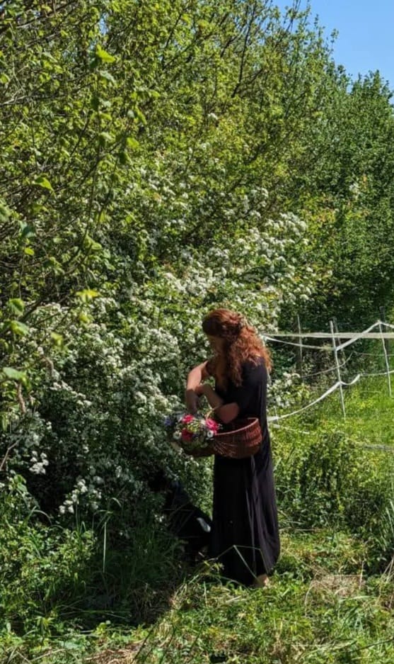Journée à la pépinière et marché