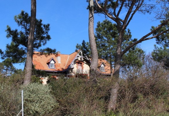 Chalet Albert Pitres