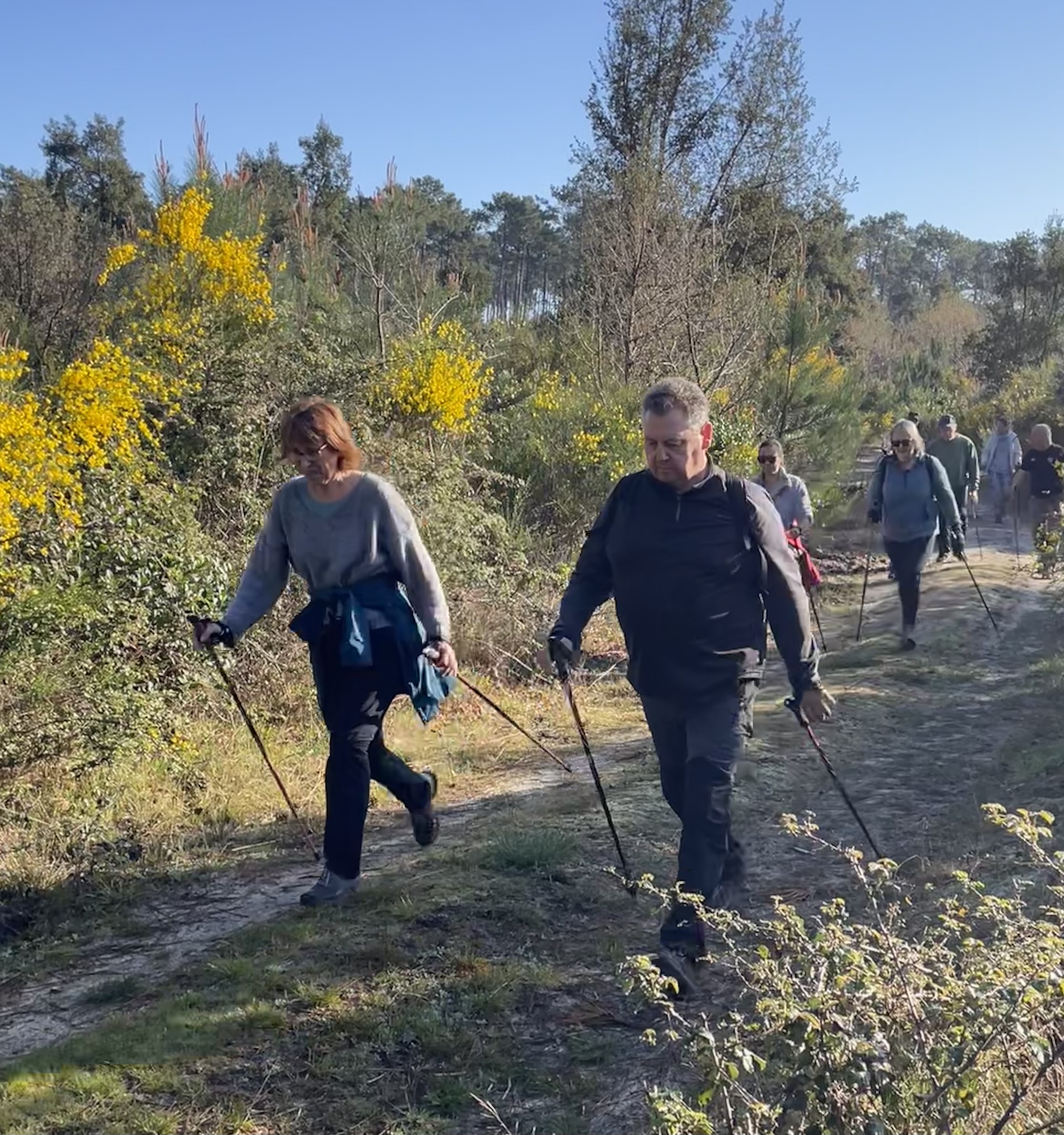 Découverte gratuite de Marche Nordique 