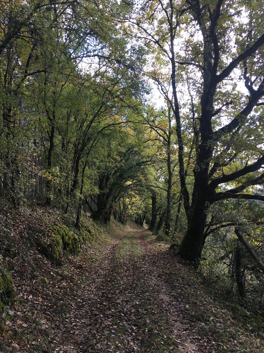 Boucle du Coustal à St Julien de Lampon