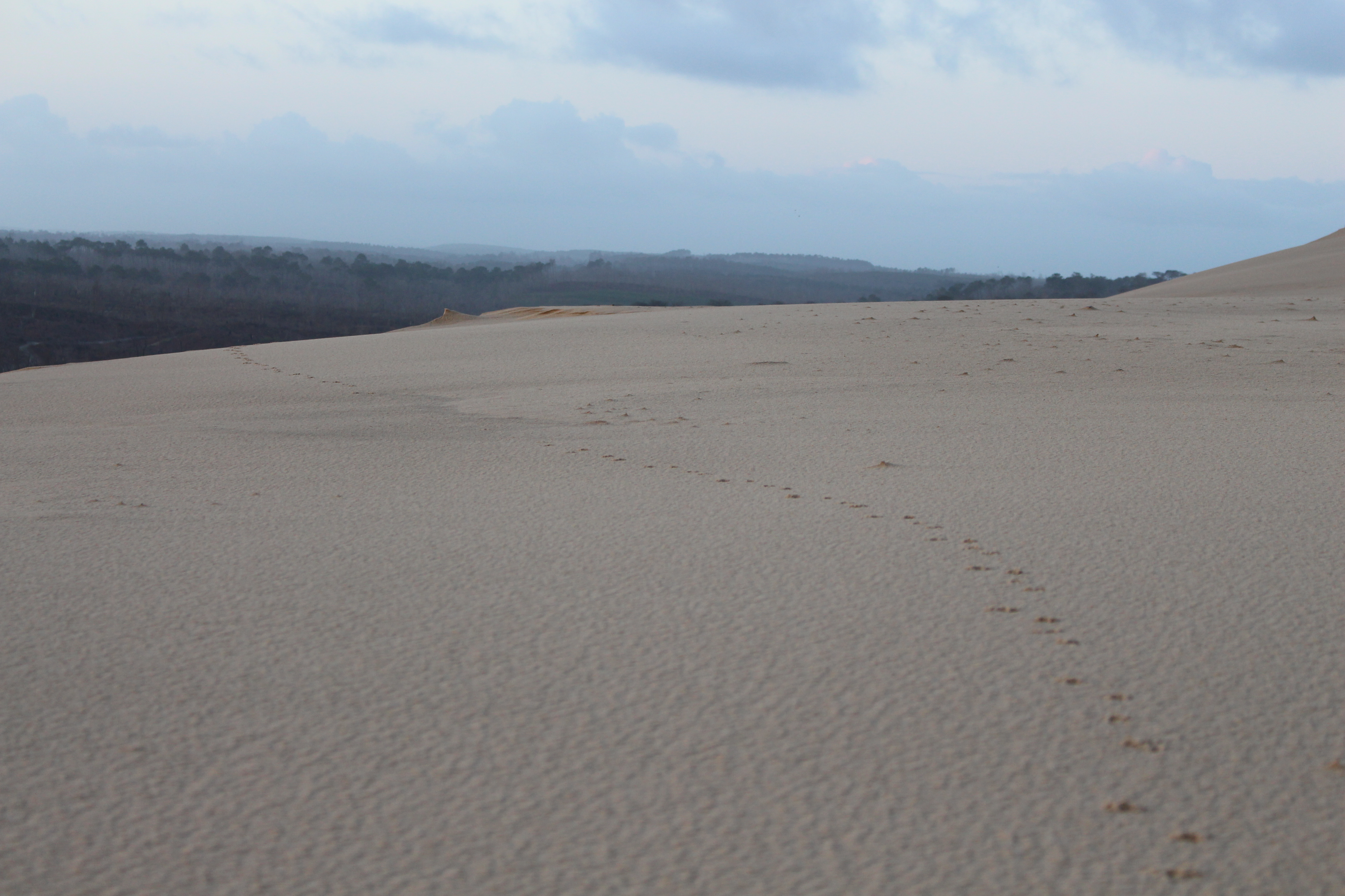 Randonnée sur la Dune du Pilat au lever du soleil