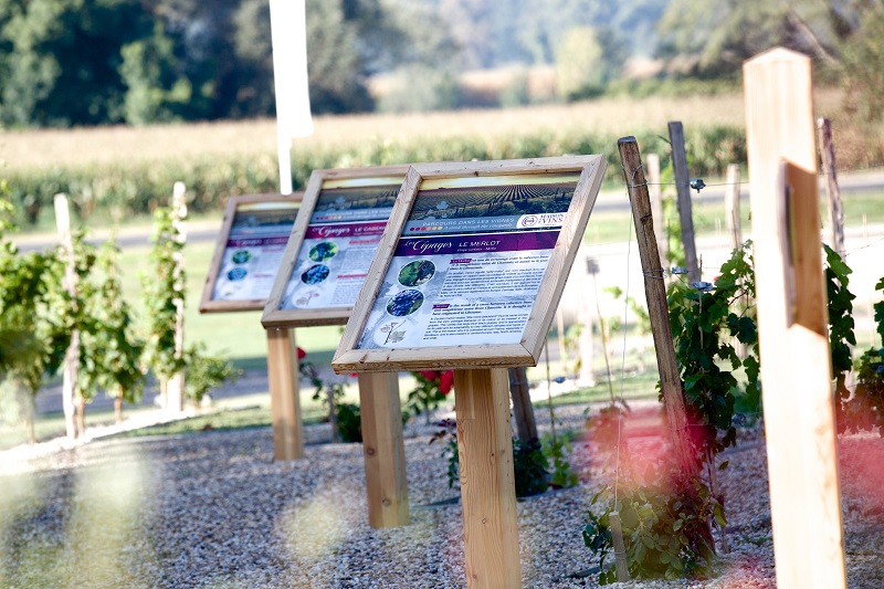 Musée de la vigne et du vin