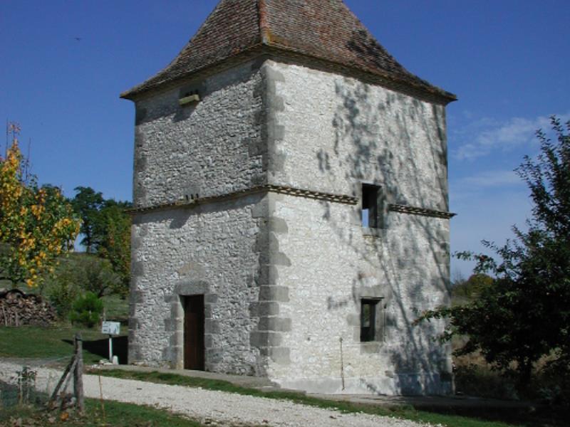 Saint-Grégoire, la balade des ânes de Pinseguerre