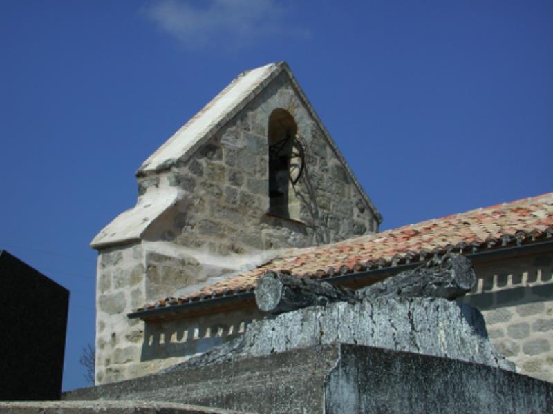 Saint-Grégoire, la balade des ânes de Pinseguerre