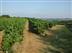 Ambrus, promenade vers le vigno ... - Crédit: @Sirtaqui Cf. ADRT Tourisme Lot-et-Garonne
