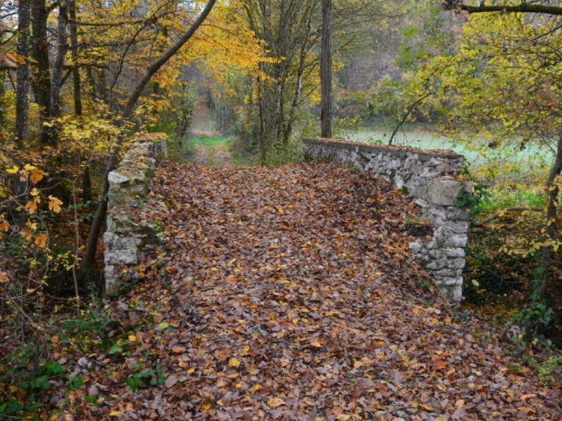 Lacaussade, la balade du bois de Grèzelongue