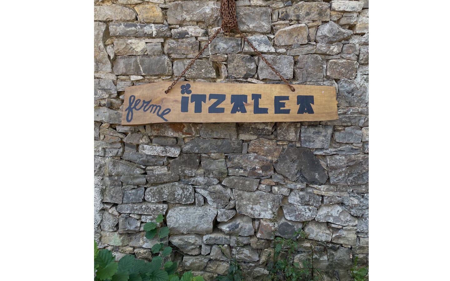 Visite de ferme et brunch à Itzalea