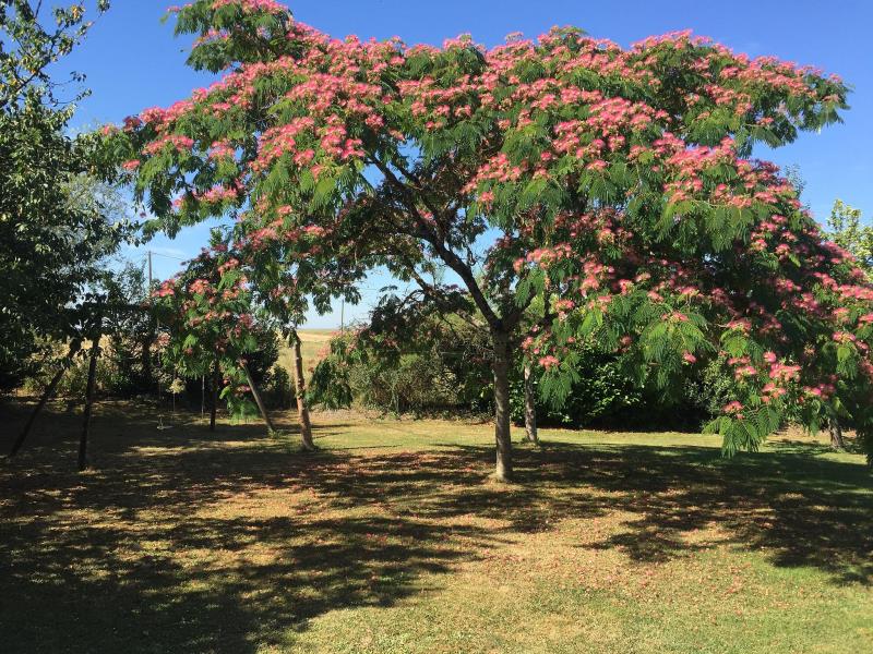 Les Figuiers de Monflanquin - Côté Grange