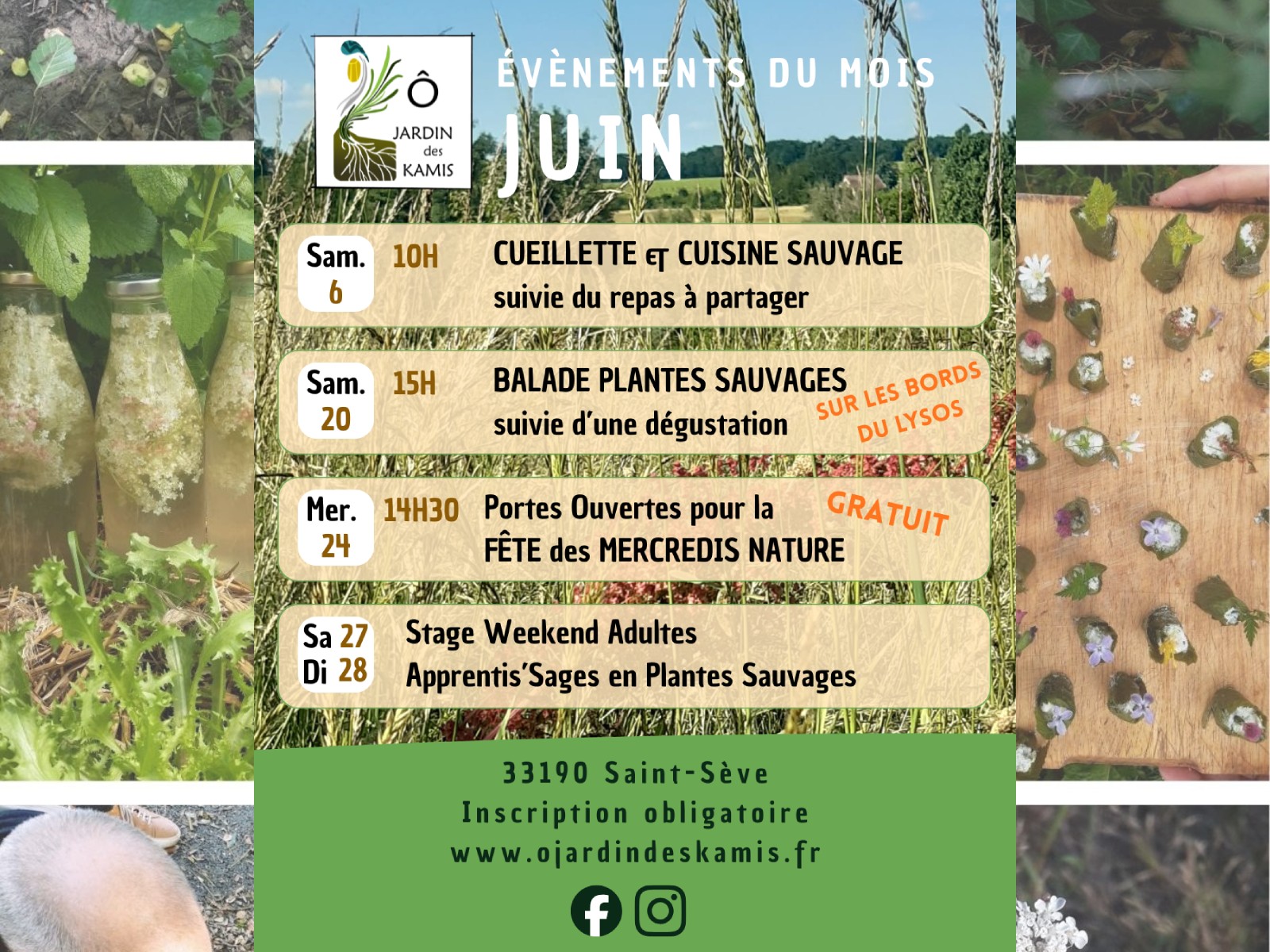 Ô Jardin des Kamis