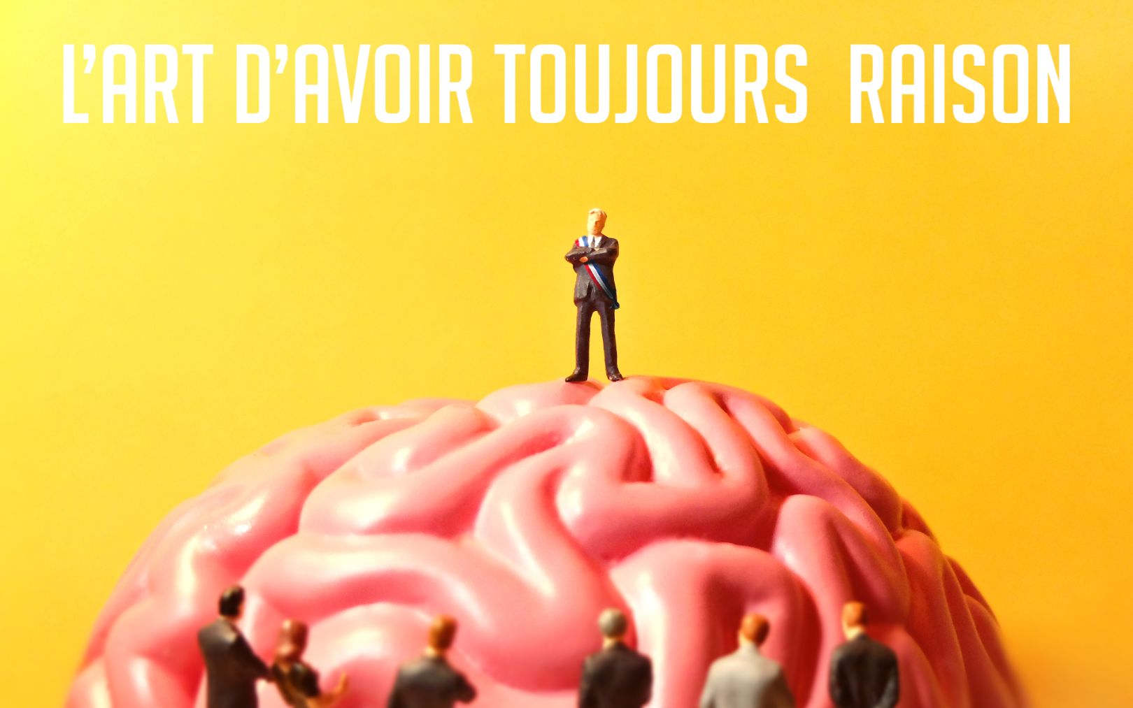 L'art d'avoir toujours raison, Sébastien Valignat - Compagnie Cassandre