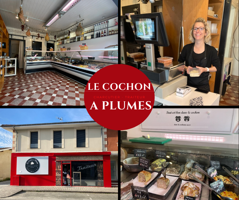 LE-COCHON-A-PLUMES.png