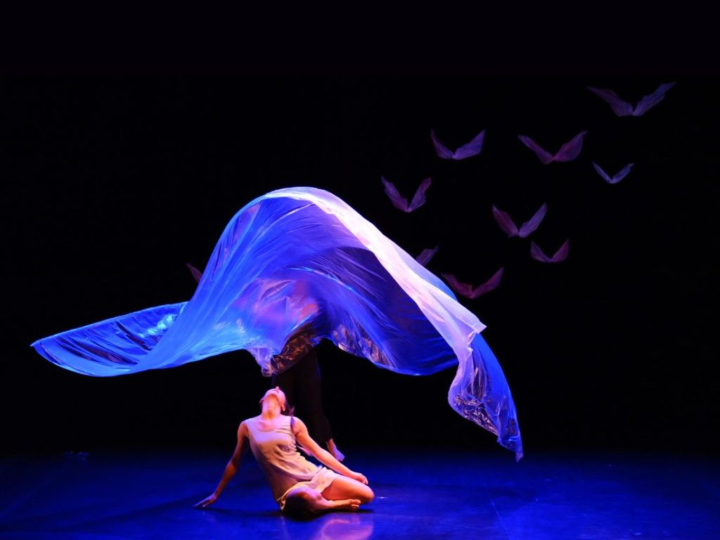 Spectacle de danse "La Vague"