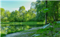 Bois de Coarraze - Crédit: @Sirtaqui Cf. Office de tourisme communautaire du Pays de Nay