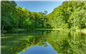Bois de Coarraze - Crédit: @Sirtaqui Cf. Office de tourisme communautaire du Pays de Nay