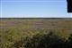 Le sentier de la Réserve Nature ... - Crédit: @Sirtaqui Cf. OT Médoc Atlantique