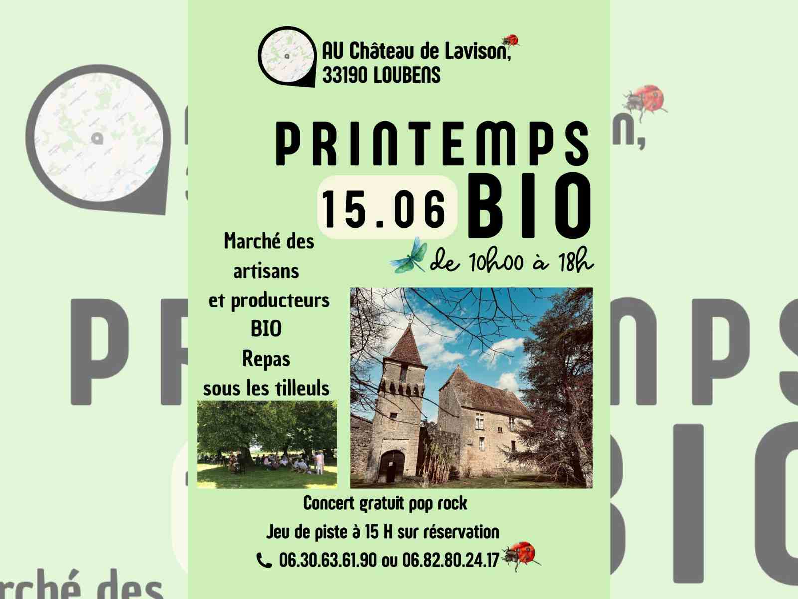 Château de Lavison