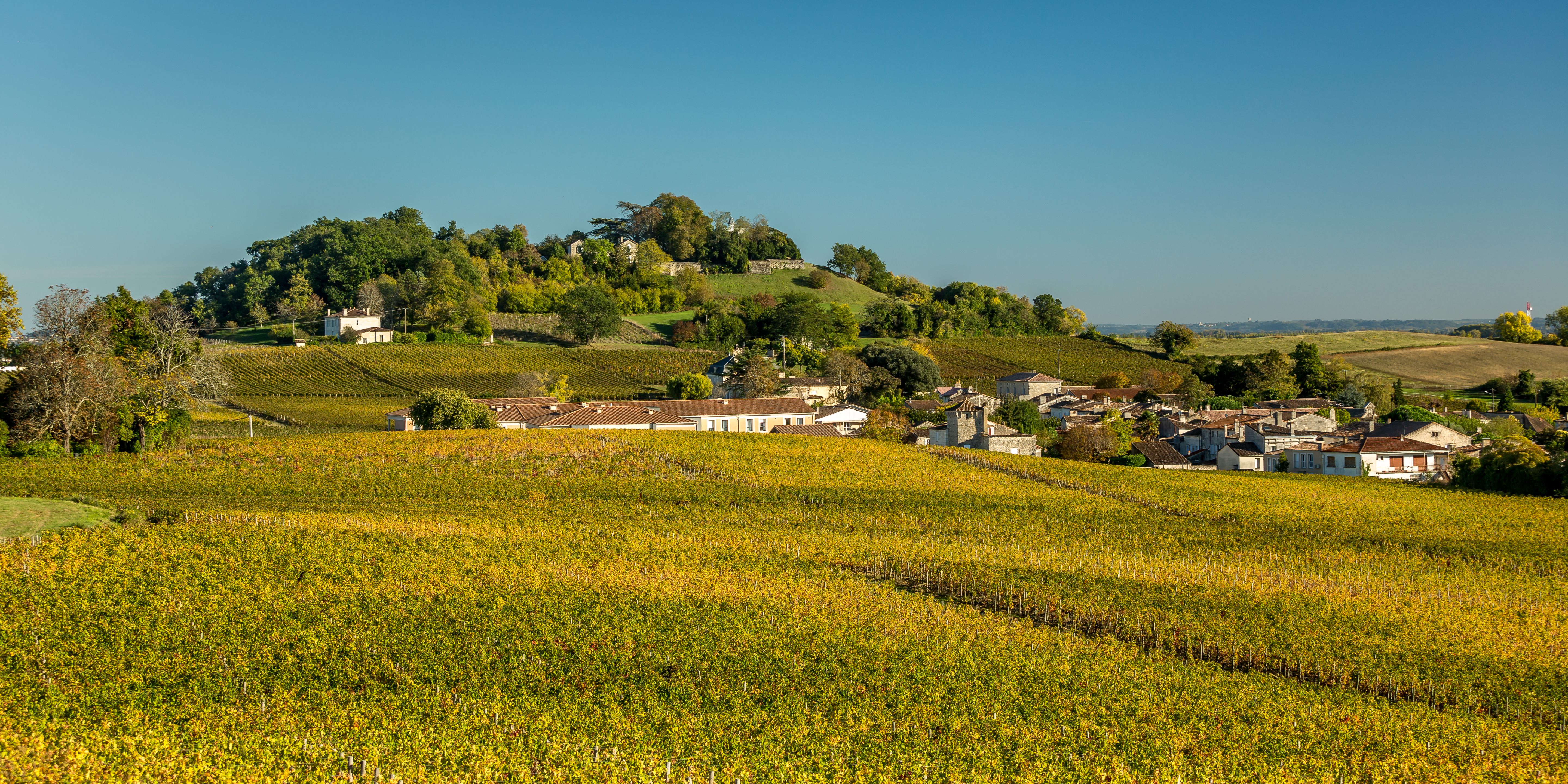 Boucle du Tertre de Fronsac