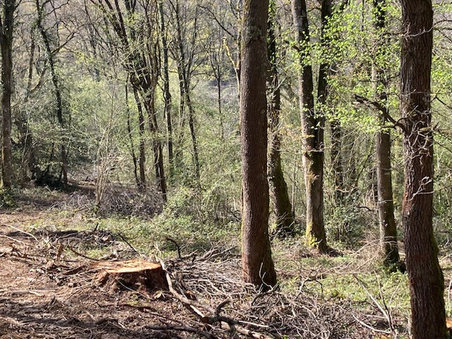 Refuge de fraîcheur, venez découvrir la vie se ...