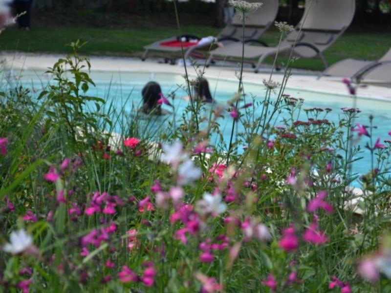 Les gîtes d'Hermance - Loukia