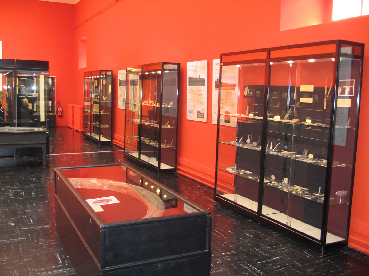 Les jeudis du Musée : beaux-arts