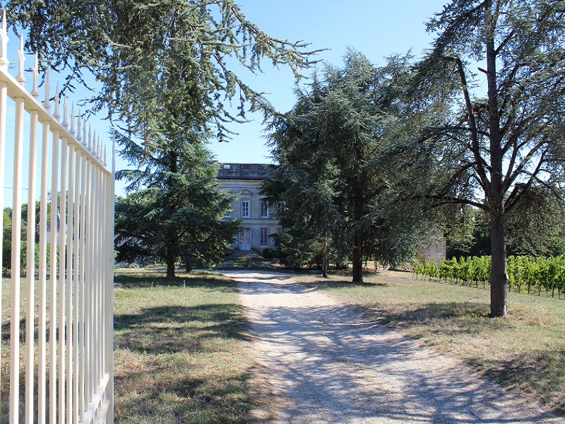 Château Lartigue-Cèdres