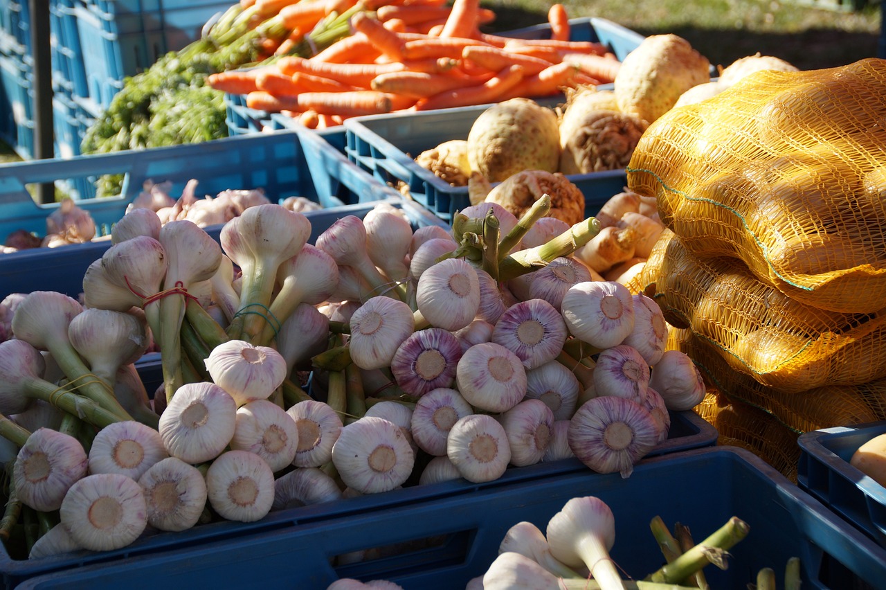 Marché du samedi à Ambazac