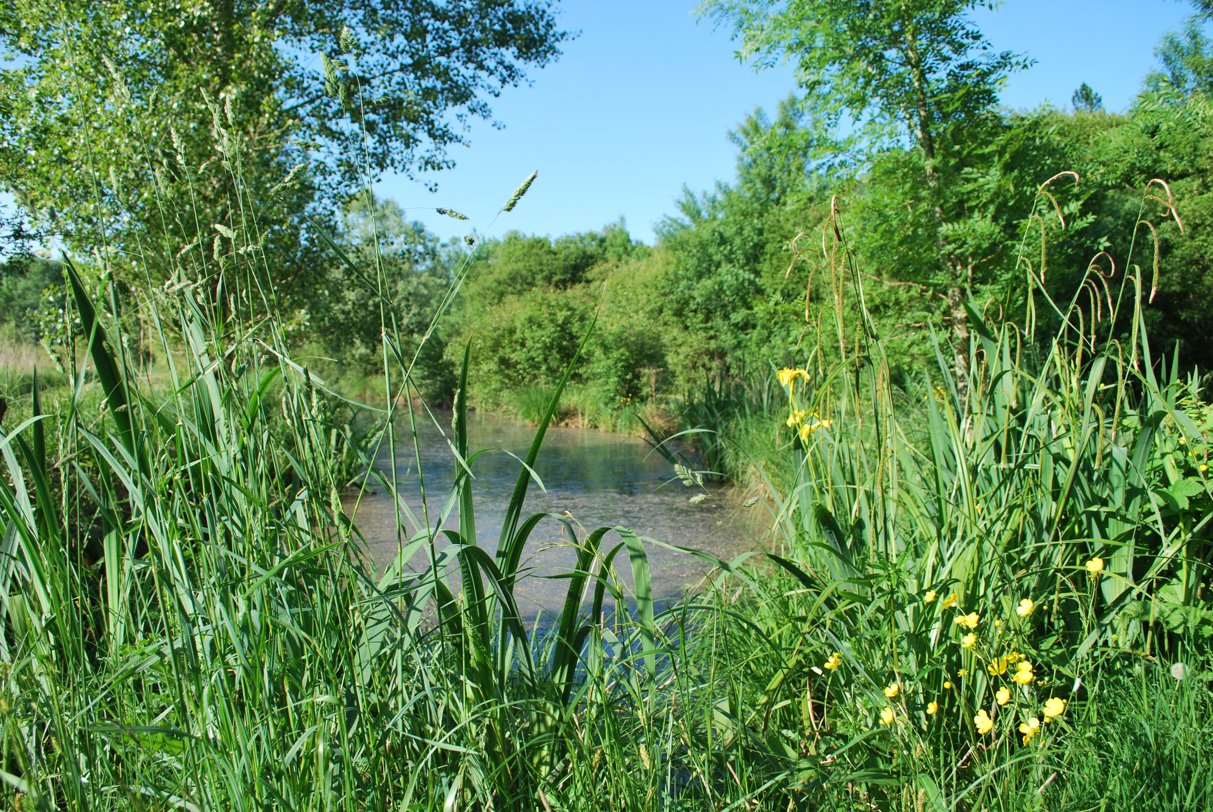 Jardin troc' à Prignac et Marcamps