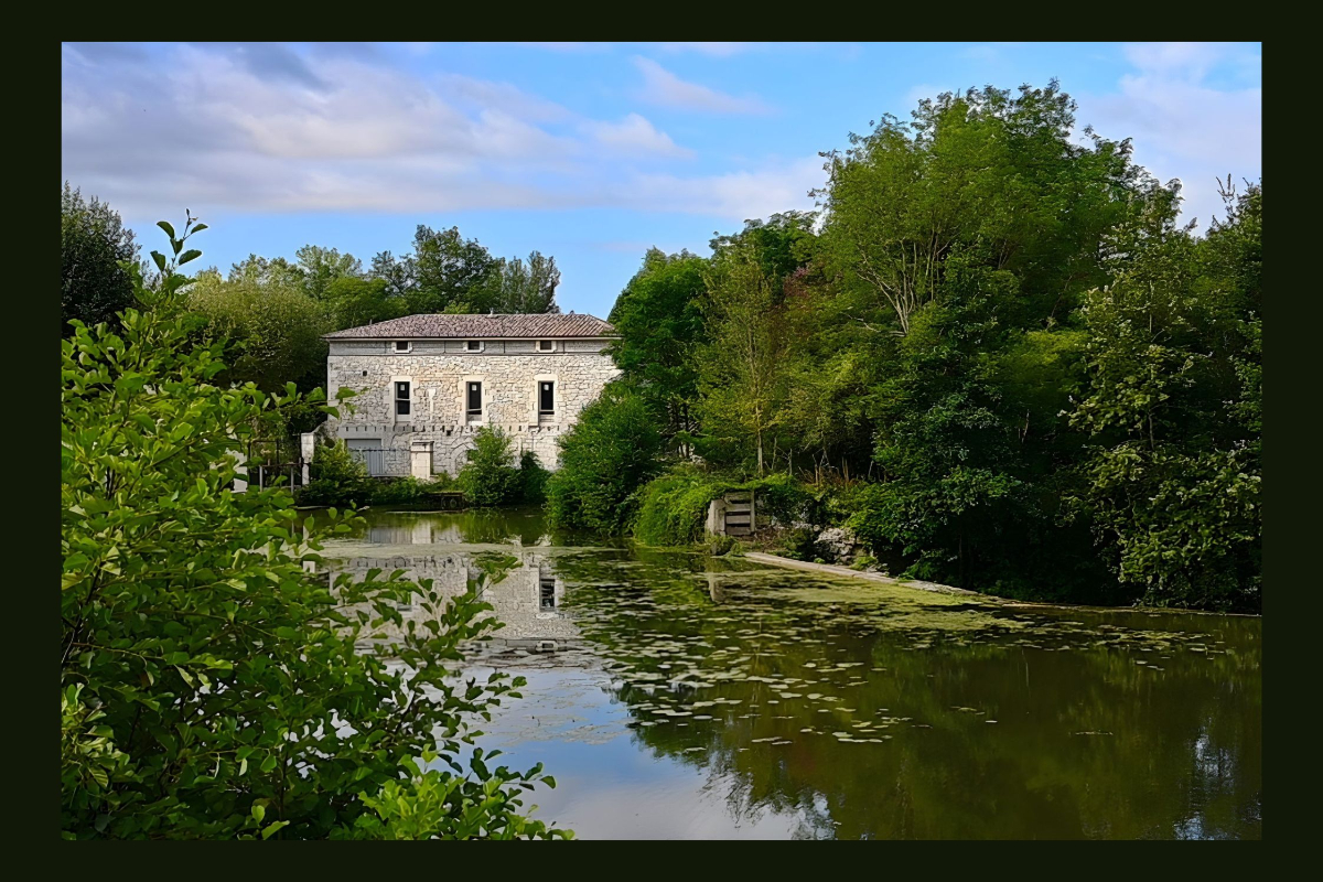 Exposition | Carolus