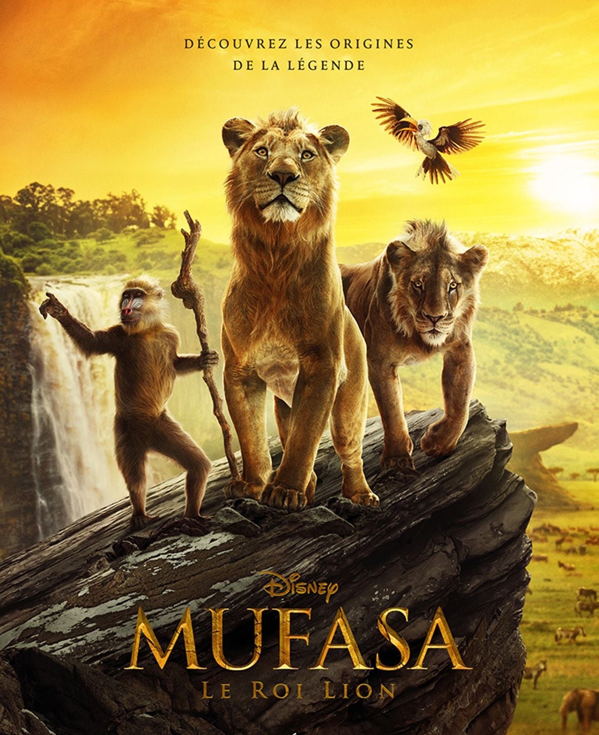 Ciné Plein Air - Mufasa le roi lion