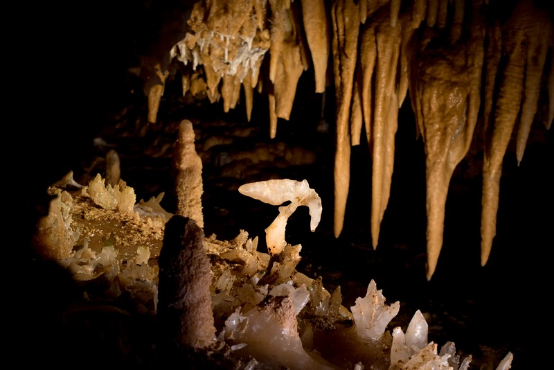 Journées européennes du patrimoine à la Grotte ...