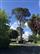 A Labenne, Circuit des Arbres r ... - Crédit: @Sirtaqui Cf. Mairie de Labenne
