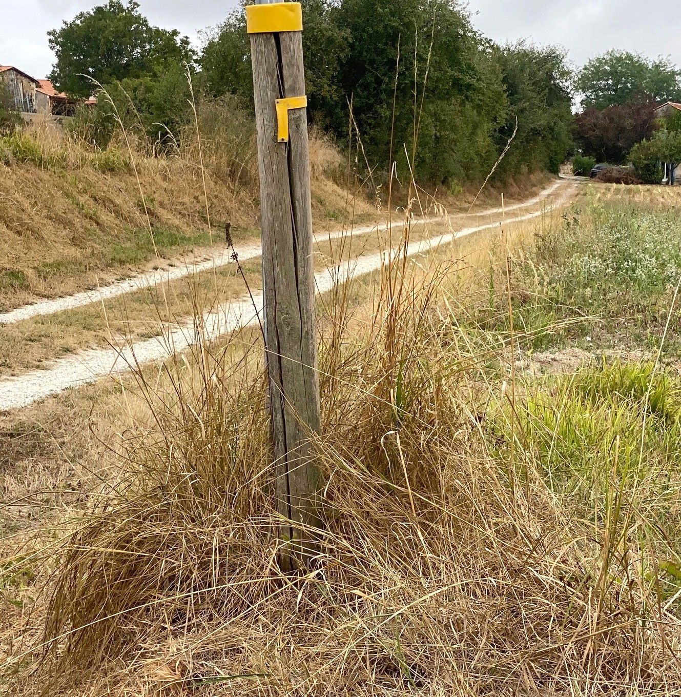 Boucle de Ponteyraud - Bois de Jalineau
