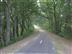 Piste cyclable du Cap de l'Homy ... - Crédit: @Sirtaqui Cf. Côte Landes Nature Tourisme
